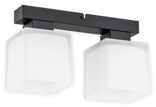 Lampa sufitowa Teru plafon na listwie 2 pł. / czarny matowy + biały półprzezroczysty O2972 P2 CZA + BIA