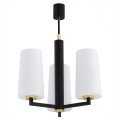 Żyrandol , lampa wisząca CAMELOT PLUS 6143 Argon