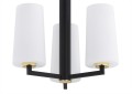 Żyrandol , lampa wisząca CAMELOT PLUS 6143 Argon