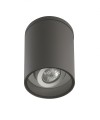 Lampa zewnętrzna sufitowa z regulacją ciemny popiel IP54 Adela 7004 DG	7004 DG