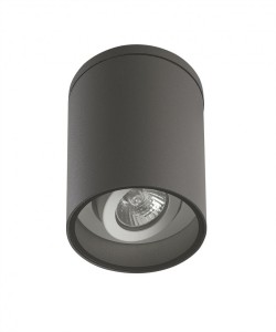 Lampa zewnętrzna sufitowa z regulacją ciemny popiel IP54 Adela 7004 DG	7004 DG