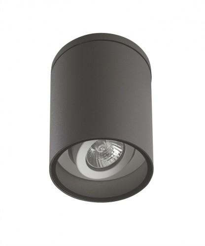 Lampa zewnętrzna sufitowa z regulacją ciemny popiel IP54 Adela 7004 DG 7004 DG