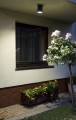 Lampa zewnętrzna sufitowa z regulacją ciemny popiel IP54 Adela 7004 DG	7004 DG