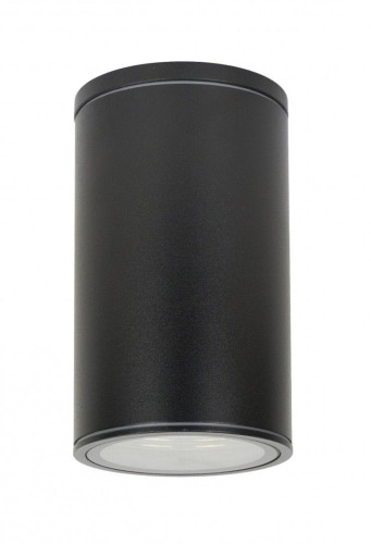 Zewnętrzna lampa sufitowa czarna Adela IP54 7003 BL