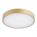 Lampa sufitowa złoty niski plafon do salonu led 22W TIAMO 8349