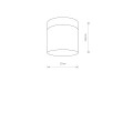 CAYO  9505  lampa sufitowa chrom IP44  NOWODVORSKI