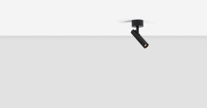 Punktowa lampa nasufitowa MFlask R On Triac 56.6101.77