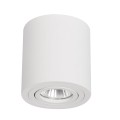 Tubka Tulon oprawa natynkowa 1xGU10 biała LP-5441/1SM WH  LIGHT PRESTIGE