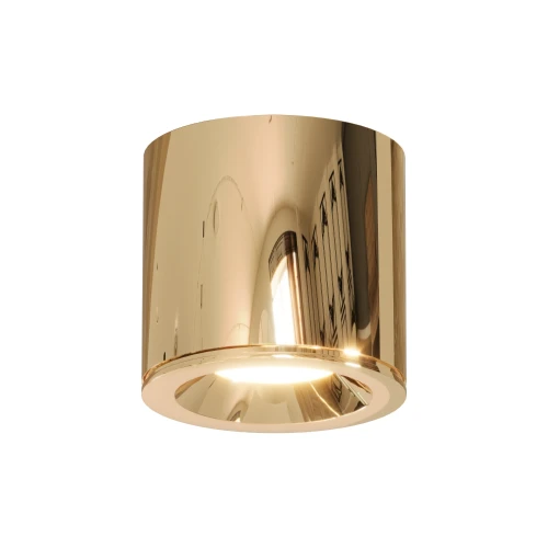 Lampa sufitowa Tubka Luna 1xGU10 złota IP65 CL0103-GD  luna_gd.webp