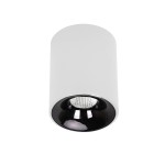 Lampa tubka sufitowa oprawa natynkowa Tom biała LED CCT LP-4848/1RM WH