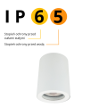 Oprawa natynkowa tuba łazienkowa Faro  biała IP65 LP-6510/1SM WH