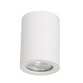 Oprawa natynkowa tuba łazienkowa Faro  biała IP65 LP-6510/1SM WH
