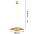 ARGON złota lampa wisząca do salonu  LED 12,5W 3000K BOLTON 8869
