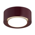 ARGON bordowy plafon sufitowy LED GX53, minimalistyczna lampa tubka ELORA 8904