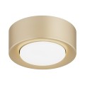 ARGON lampa złoty plafon sufitowy reflektor LED GX53, żarówka gratis ELORA 8903