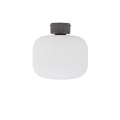 Plafon AURORA szara lampa sufitowa 11971 NOWODVORSKI