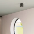 Lampa ścienna INEZ czarna kinkiet SL.0353 SOLLUX LIGHTING