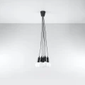 Lampa wisząca DIEGO 5 czarna zwis SL.0574 SOLLUX LIGHTING