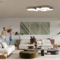 Lampa sufitowa ARENA 55 szara plafon SL.0918 SOLLUX LIGHTING
