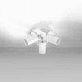 Lampa sufitowa RING 3P biała plafon SL.1015 SOLLUX LIGHTING