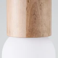 Lampa sufitowa BOOMO 12 plafon SL.1191 SOLLUX LIGHTING