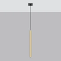 Lampa wisząca PASTELO 1 złoty połysk zwis SL.1195 SOLLUX LIGHTING