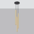 Lampa wisząca PASTELO 3P złoty połysk zwis SL.1197 SOLLUX LIGHTING