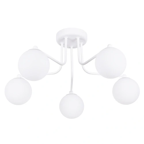 lampa-wiszaca-astral-5-biala-zyrandol-sl-1660-sollux-lighting-1.webp