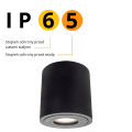 Oprawa natynkowa czarna  łazienkowa Faro XL IP65 LP-6510/1SM XL 