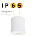 Oprawa natynkowa łazienkowa  biała tuba Faro XL IP65 LP-6510/1SM XL WH 