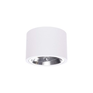 Lampa sufitowa  Camino oprawa natynkowa biała LP-1101/1SM WH