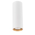 Reflektor NATYNKOWA MANACOR 17 CM - złoty spot LP-232/1D - 170 WH/GD LIGHT PRESTIGE