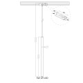 Reflektor DO SZYNOPRZEWODU LUNGO 1 1F złoty szynowy LP-894/1P GD 1F LIGHT PRESTIGE