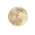 Lampa sufitowa LUNA PLANETA 4000K szary plafon LP-1106/1C Luna LIGHT PRESTIGE