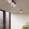 Lampa sufitowa YOLI 3 burgund plafon SL.2252 SOLLUX LIGHTING