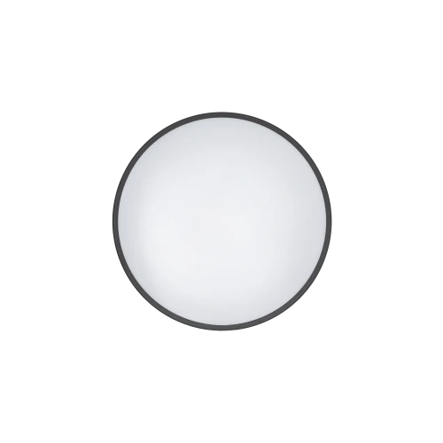 Plafon 22W 4000K IP44 AGNES ROUND LED PRO 10972  NOWODVORSKI   10972-1-2-1.webp
