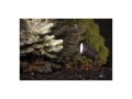 Lampa wbijana w grunt BUSH  3401  reflektor ogrodowy IP65 NOWODVORSKI