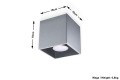 Quad 1  SL.0024  oprawa sufitowa szara  Sollux lighting