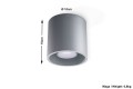 Orbis 1  SL.0018  oprawa sufitowa szara  Sollux lighting