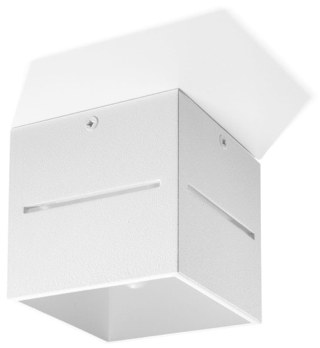 Lobo SL.0209 oprawa sufitowa biała Sollux lighting