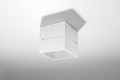 Lobo  SL.0209  oprawa sufitowa biała  Sollux lighting