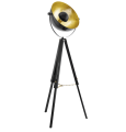 Covaleda  49618 lampa podłogowa czarno-złota Eglo